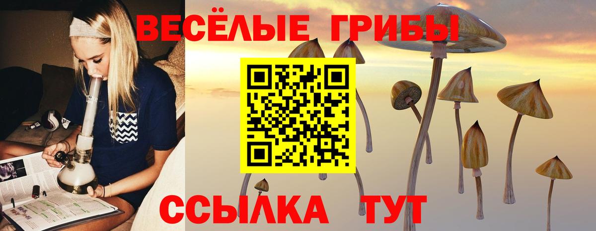 Кыштым  где купить наркоту  Вход с VPN  Псилоцибиновые грибы ЛСД 